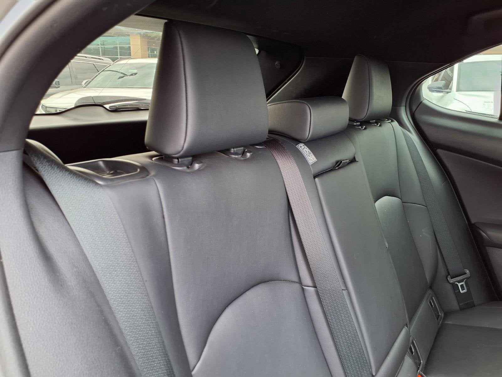 2019 Lexus UX UX 200 F SPORT