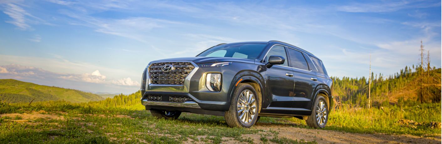 Hyundai Palisade SUV on a scenic hillside.