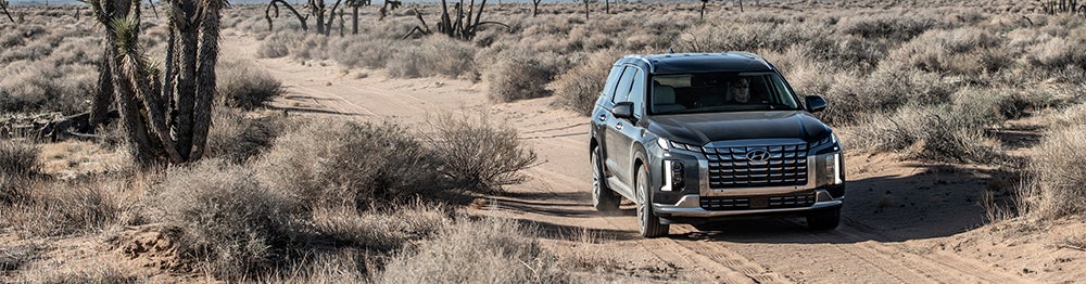 A black Mitsubishi Outlander driving on a dirt road through a desert landscape.