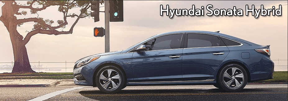 A blue Hyundai Sonata Hybrid is parked at a traffic light near a tree and a body of water.